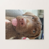 茶色の子犬 ジグソーパズル (横)