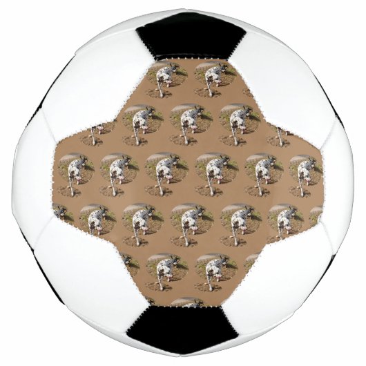 茶色の斑点のあるダルマチア語 サッカーボール (正面)