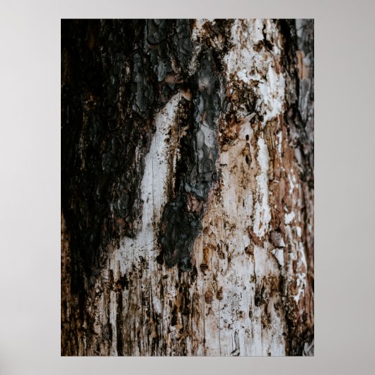 茶色の木の丸太 ポスター (正面)