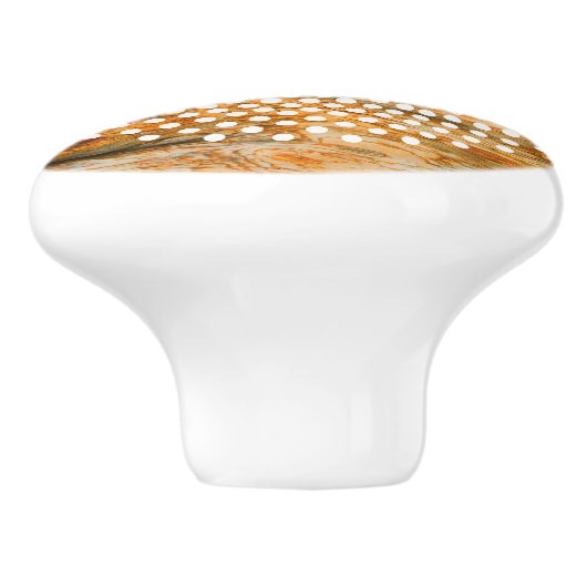 茶色の木の樹皮のテクスチャと白い円 セラミックノブ (側面)