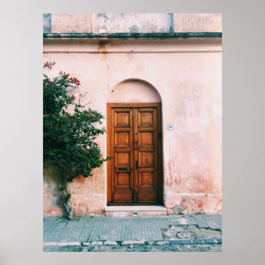 茶色の木製のドアの横の緑の植物 ポスター (正面)