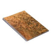 茶色の木面に生えるカビはdである ノートブック (右側)