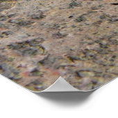 茶色の木 ポスター (角)