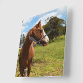 茶色の栗の馬には乾燥機が必要です。 スクエア壁時計 (傾斜)