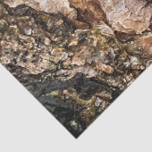 茶色の灰色の木の樹皮のテクスチャ古い写真アート 薄葉紙 (詳細)