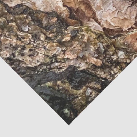 茶色の灰色の木の樹皮のテクスチャ古い写真アート 薄葉紙 (詳細)