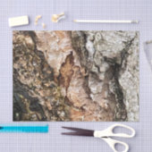 茶色の灰色の木の樹皮のテクスチャ古い写真アート 薄葉紙 (クラフト)