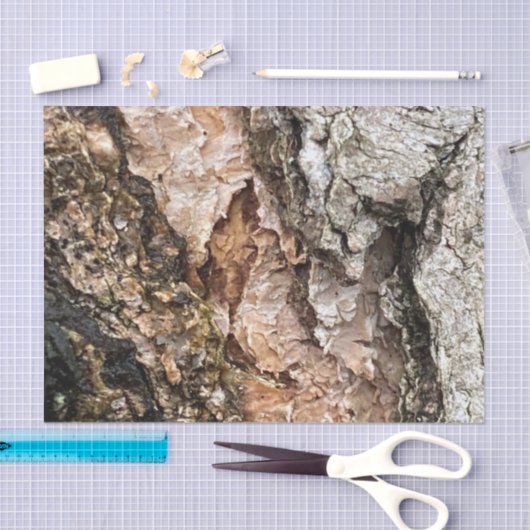 茶色の灰色の木の樹皮のテクスチャ古い写真アート 薄葉紙 (クラフト)