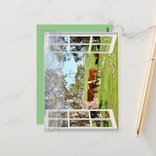 茶色の牛を窓に ポストカード (正面/裏面インサイチュ)