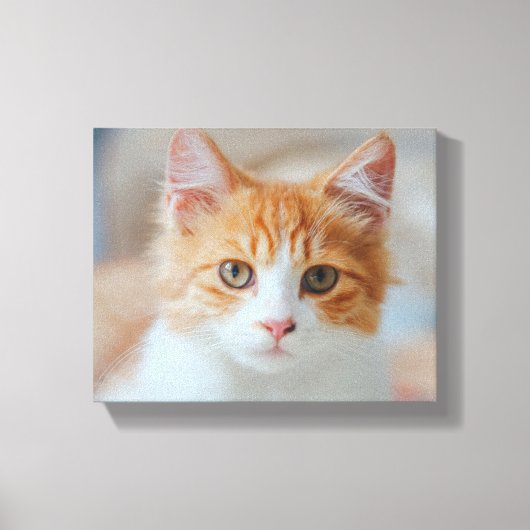 茶色の猫 | Zazzle_Growshop。 キャンバスプリント (正面)