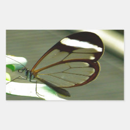 茶色の白と半透明の翼を持つ蝶 長方形シール