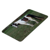 茶色の白馬 マグネット (左側)