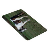 茶色の白馬 マグネット (右側)