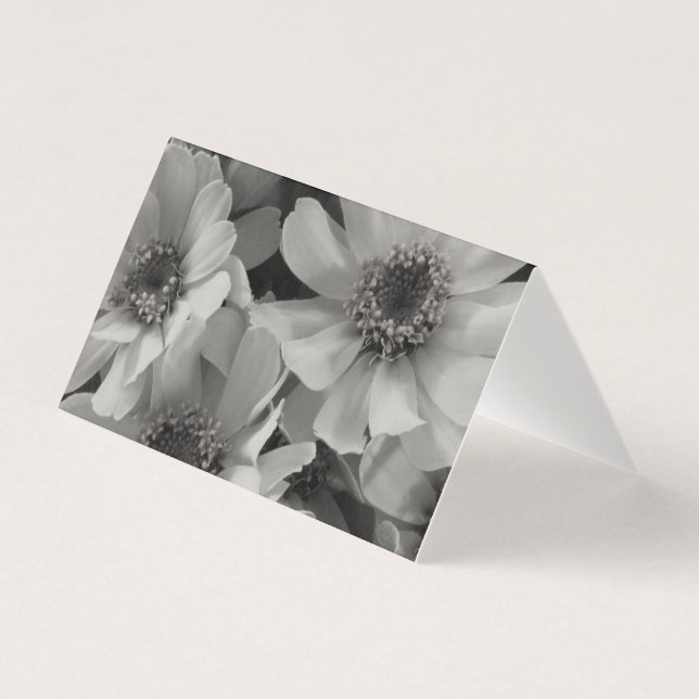 茶色の目のスーザン花 (正面)