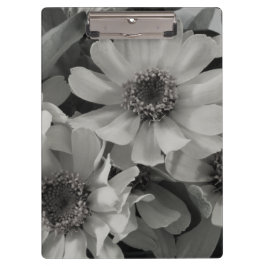 茶色の目のスーザン花 クリップボード