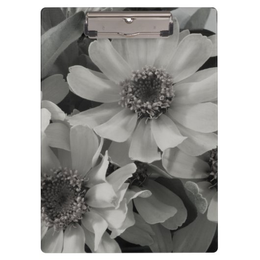 茶色の目のスーザン花 クリップボード (正面)