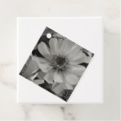 茶色の目のスーザン花 フェイバータグ (インサイチュ)