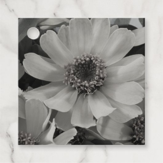 茶色の目のスーザン花 フェイバータグ (正面)