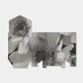 茶色の目のスーザン花 フェイバーボックス (折り畳みなし)