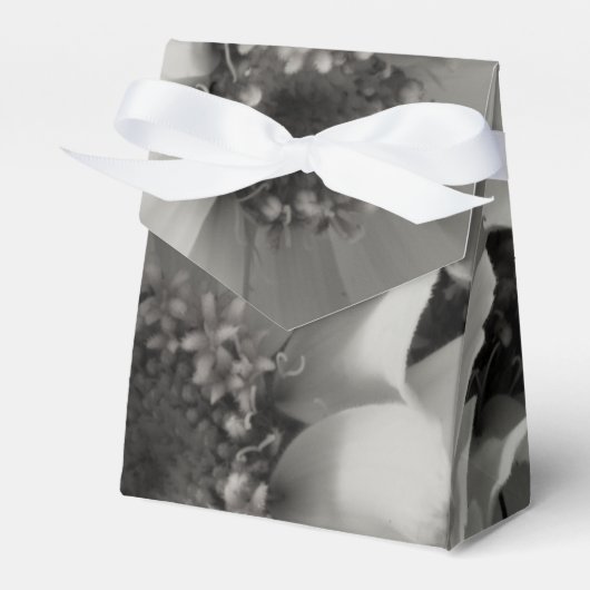 茶色の目のスーザン花 フェイバーボックス (正面サイド)