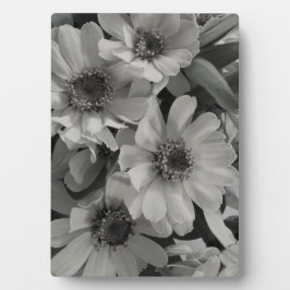 茶色の目のスーザン花 フォトプラーク