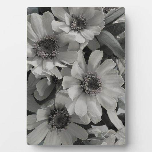 茶色の目のスーザン花 フォトプラーク (正面)