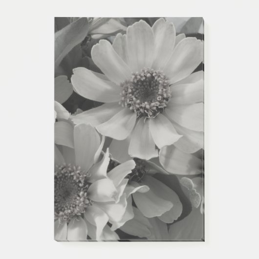 茶色の目のスーザン花 ポストイット (正面)