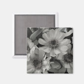 茶色の目のスーザン花 マグネット (正面/裏面)