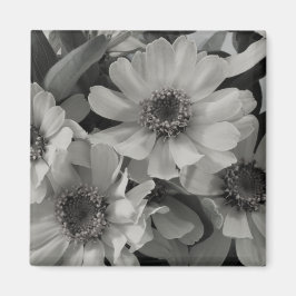 茶色の目のスーザン花 マグネット