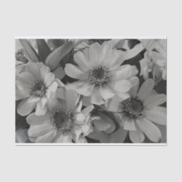 茶色の目のスーザン花 薄葉紙