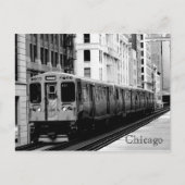 茶色の線 ポストカード (正面)