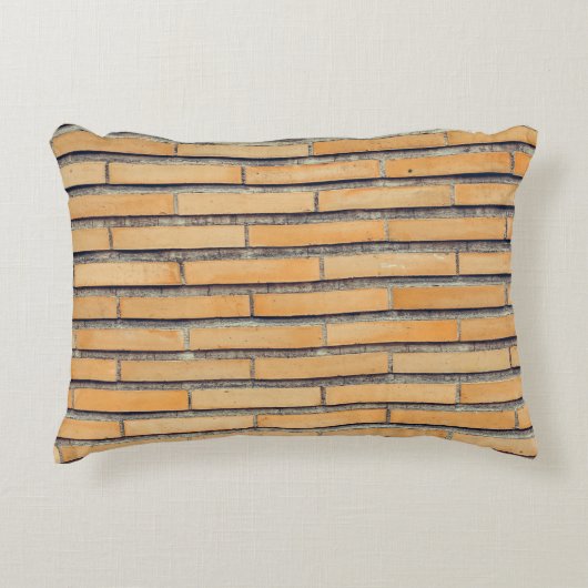 茶色の肉盛り壁 アクセントクッション (正面)