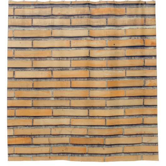 茶色の肉盛り壁 シャワーカーテン (正面)