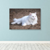 茶色の背景に白いトルコのアンゴラ猫 キャンバスプリント (インサイチュ (ウッドフロア))