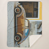 茶色の虫 シェルパブランケット (正面)