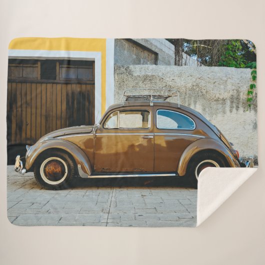 茶色の虫 シェルパブランケット (正面(横))