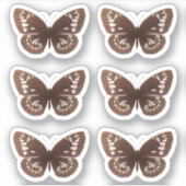 茶色の蝶のシール自然蝶 シール (正面)