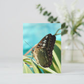 茶色の蝶の閉じた翼 ポストカード (スタンド正面)