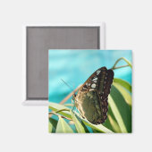 茶色の蝶の閉じた翼 マグネット (正面/裏面)