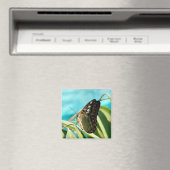 茶色の蝶の閉じた翼 マグネット (インサイチュ (食洗機))