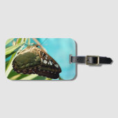 茶色の蝶の閉じた翼 ラゲッジタグ (正面横)