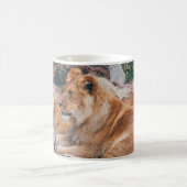 茶色の表面に横たわる獅子と雌獅子 コーヒーマグカップ (中央)