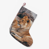 茶色の表面に横たわる獅子と雌獅子 スモールクリスマスストッキング (正面 (吊り時))