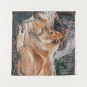 茶色の表面に横たわる獅子と雌獅子 タペストリー (正面(横))