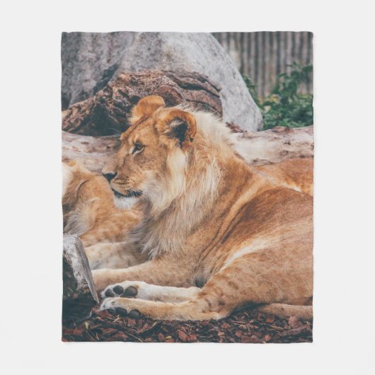 茶色の表面に横たわる獅子と雌獅子 フリースブランケット (正面)