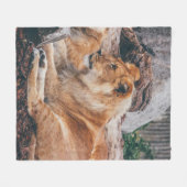 茶色の表面に横たわる獅子と雌獅子 フリースブランケット (正面(横))