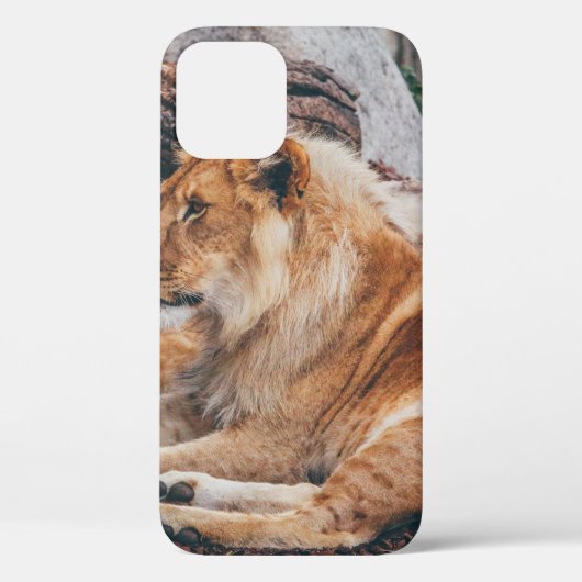 茶色の表面に横たわる獅子と雌獅子 Case-Mate iPhoneケース (裏面)