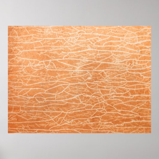 茶色の表面 ポスター (正面)
