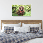 茶色の長毛ミニチュアダックスシュント キャンバスプリント (インサイチュ (寝室))