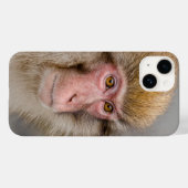 茶色の雪のサルの写真、日本の野生動物 Case-Mate iPhoneケース (裏面 (横))